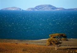 Озеро Туркана Озеро Туркана