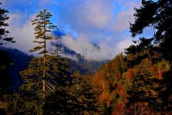Национальный парк Грейт-Смоки-Маунтинс Национальный парк Грейт-Смоки-Маунтинс