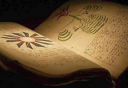 Манускрипт Войнича Манускрипт Войнича