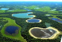 Пантанал Пантанал