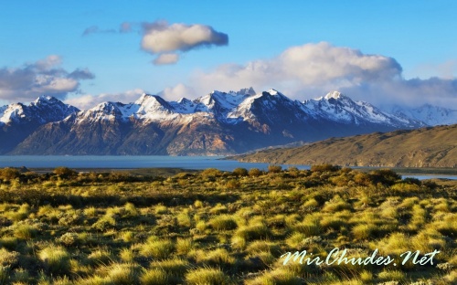 Пампасы - целина Южного полушария.