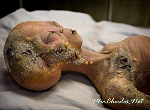 Инопланетянин