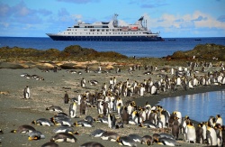 Остров Маккуори