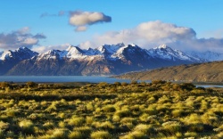 Пампасы Пампасы