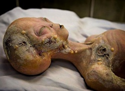 Кладбище инопланетян Кладбище инопланетян