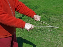 Лозоходство Лозоходство