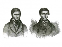 Похитители тел