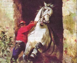 Конокрадство Конокрадство