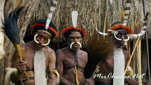 Папуасы Новой Гвинеи