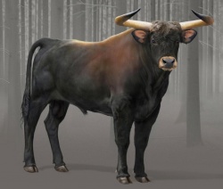 Куда исчезли Туры