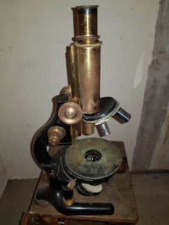 Бинокулярный составной микроскоп «Карл Цейс», 1914 год