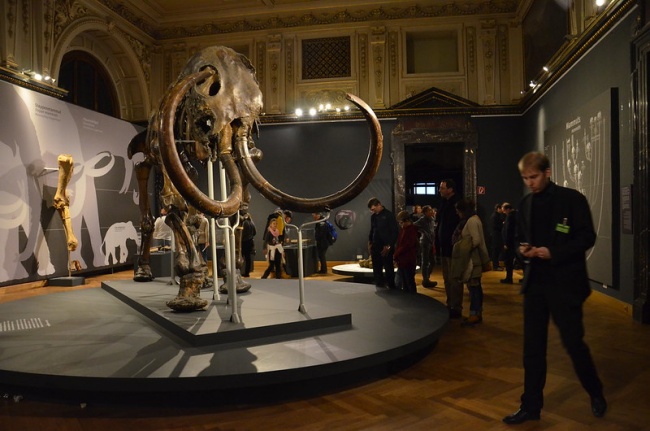 Скелет мамонта