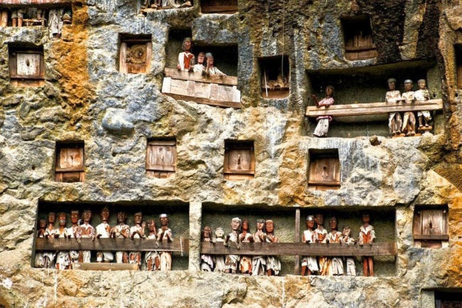 Sulawesi - Indonesia