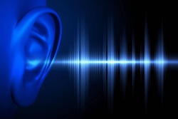 Инфразвук и Ультразвук