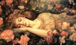 Спящая красавица