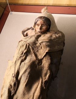 Мумия Лоуланьской красавицы